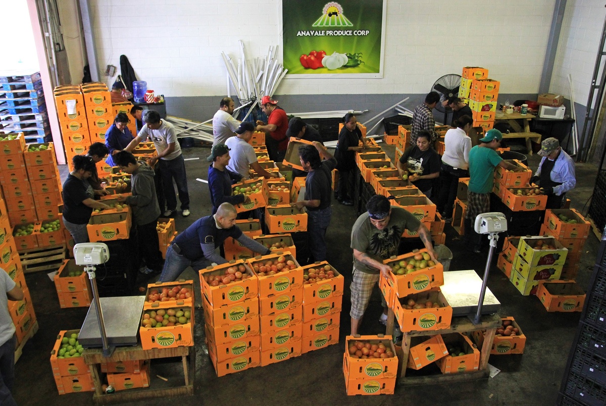 Texas lawmakers urge Trump to extend tomato trade agreement with Mexico